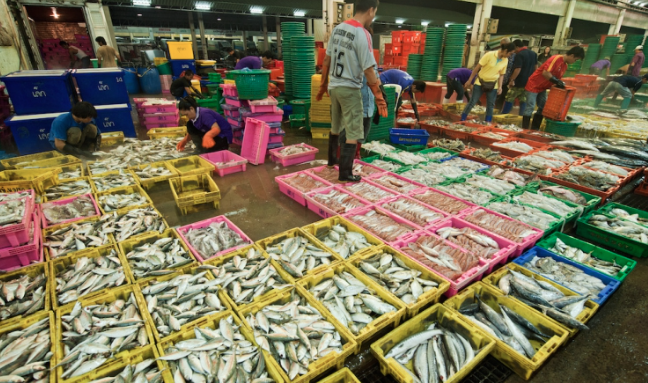 things to do in bangkok, bangkok, fresh market, market, local, fish market