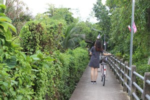 rainy season, things to do, cycling, explore bangkok