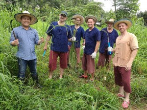 takemetour, local experts, chiang mai, elephants, elephant sanctuary, farm, animal friendly