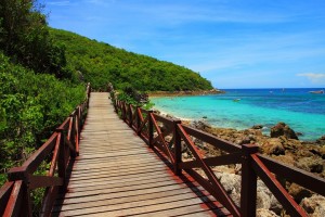 things to do in Pattaya, pattaya, chonburi, koh lan