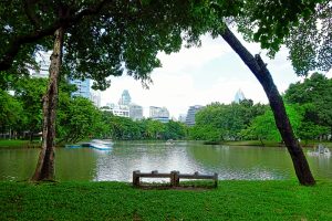 Lumphini Park greenery