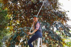 Meet the Local Expert Khun Pat Cycling in Chiang Mai
