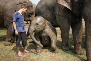 Ethical elephant experience: Let the family stay together