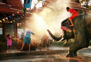 Elephant spraying water during Songkran