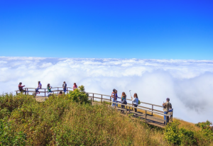 things to do in chiang mai, doi inthanon,
